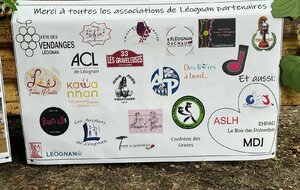 Fête des vendanges