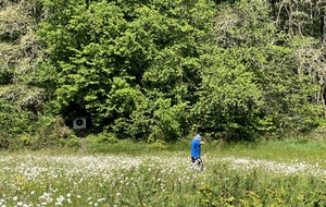 6656414de57aa_IMG6175.JPG