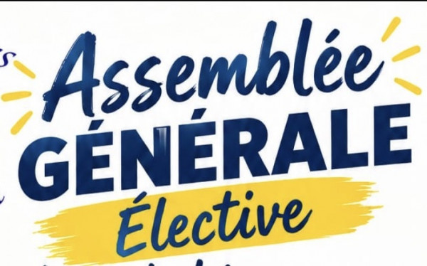 Assemblée générale élective