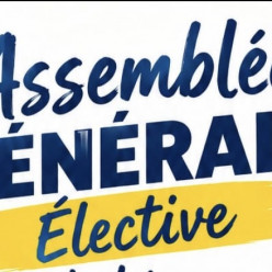 Assemblée générale élective